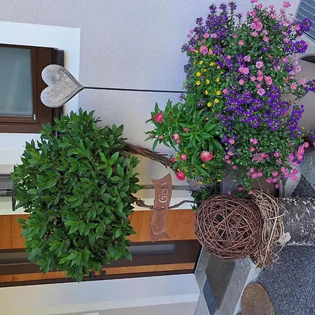 Haus Egger Apartman Jochberg
